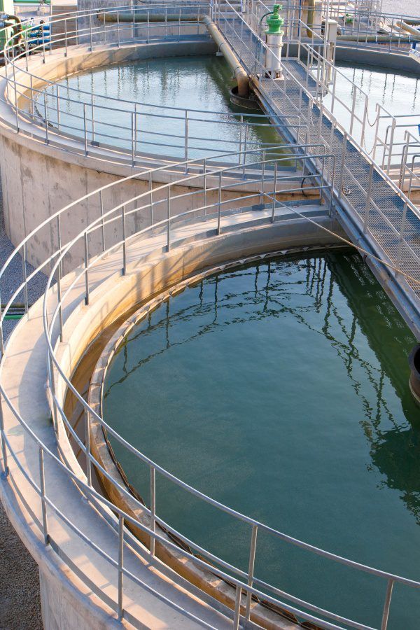 Circular concrete settlement tanks at a water treatment works, with steel walkways and handrails over green water.
